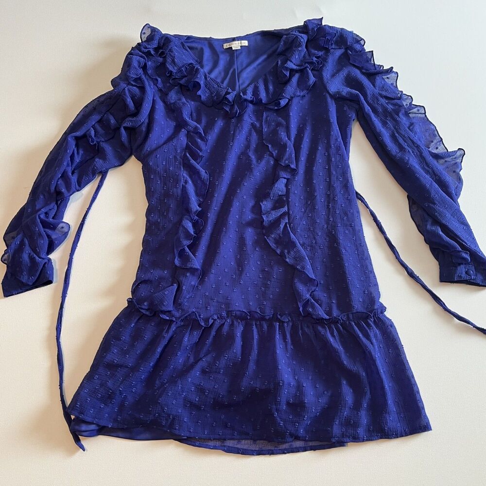 Cato Women's Clematis Blue Dress Size L Sheer Dotted Swiss Chiffon Ruffles Tie
